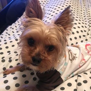 Meet your Posher, Ravina